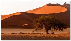 Namibia-9